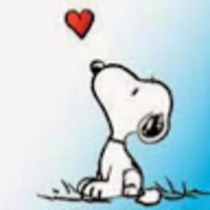 Meet your Posher, Connie